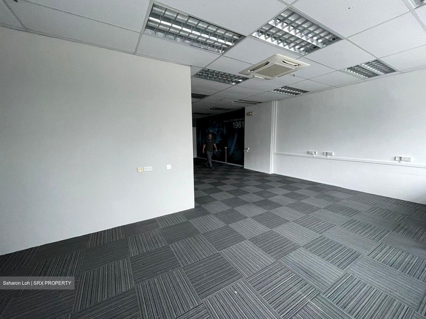 Vertex (D14), Factory #574710051